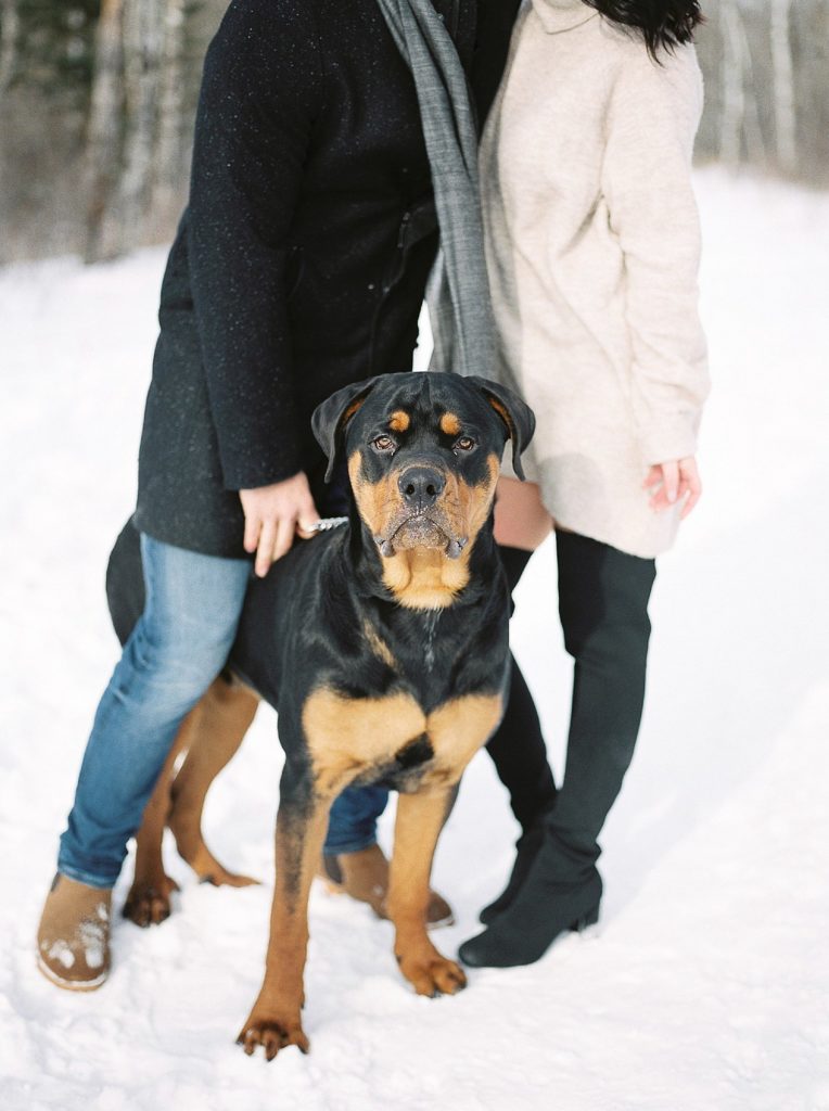 romantic winter engagement session with bride-to-be & fiance in cozy winter attire and their dog