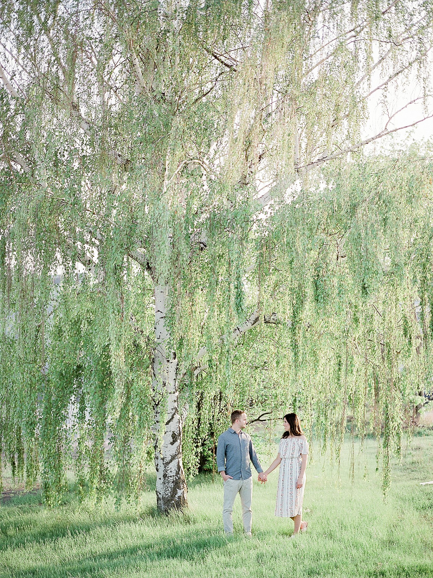 Engagement Photos under Weeping Birch Tree, Winnipeg Wedding Photographer, University of Manitoba photoshoot, Summer outfits for engagement session