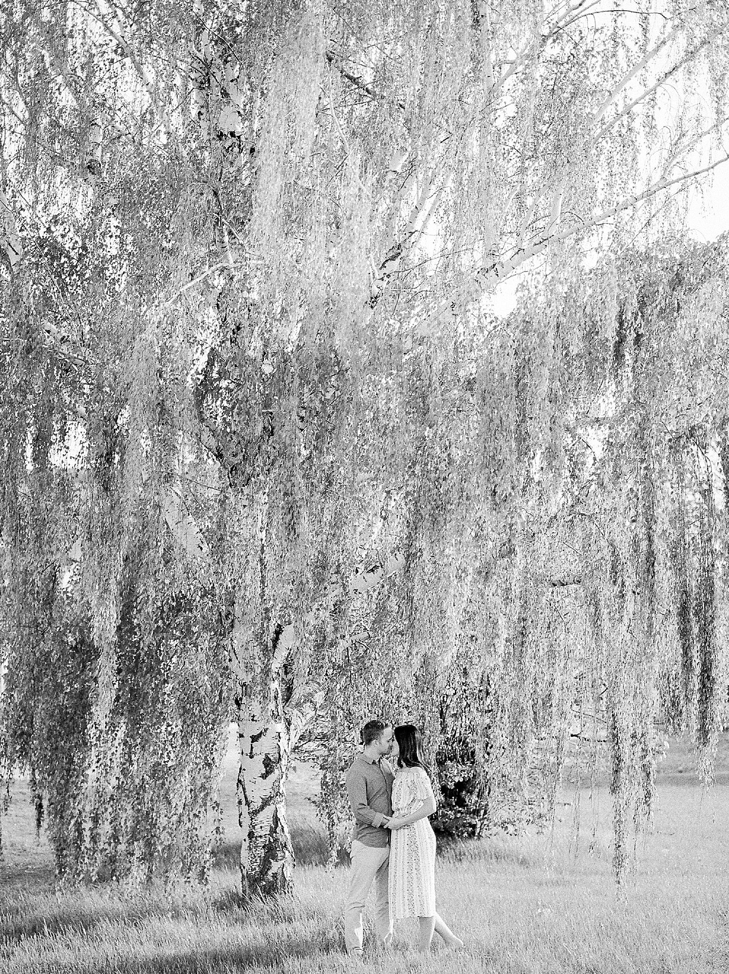 Weeping Birch Tree Engagement Photos, Fine Art Film Wedding Photographer, Canadian Wedding Photographer, Calgary Wedding Photographer, Winnipeg Wedding Photographer