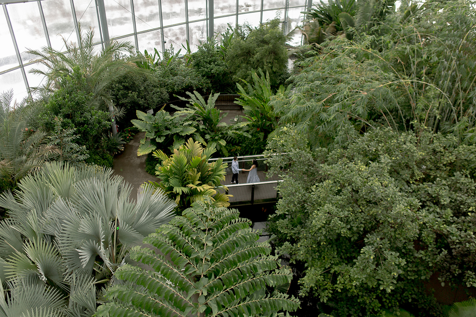 engagement session photos at the leaf biomes at assiniboine park, winnipeg wedding photographer